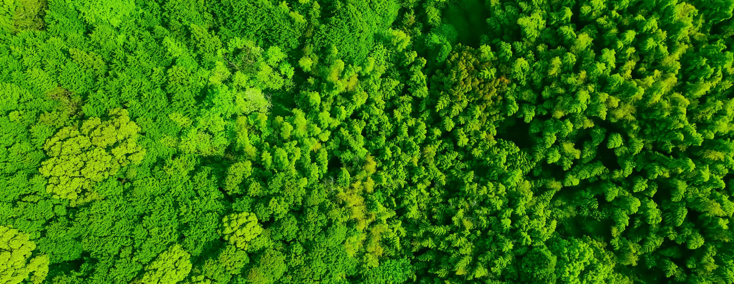 サステナビリティ