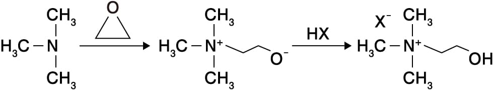 コリン誘導体の合成
